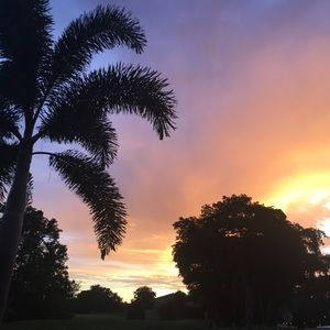 Meet your Posher, Steve